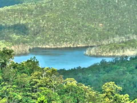 15 Tarlington Road, Lower Beechmont, Qld 4211