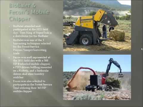 how to harvest juniper