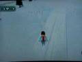 Wii FAMILY SKI with Balance Wii Board-Time Race-2008/02/03