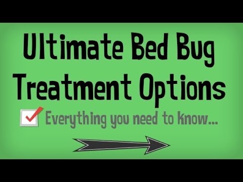 how to eliminate bed bugs on your own