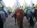 clip video Nina Gordon Horses In The City