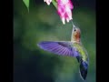 Tarrus Riley --- Life precious gift----