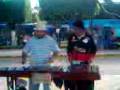 Cesar manuel. (la cortina) marimba de acambaro guanajuato.3gp
