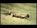 Max De Angelis - L'evaso