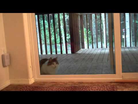 Cute video Cute video