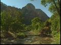 NWA EP#10 Zion National Park Pt.01