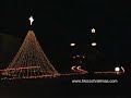 Chirstmas lights Wild