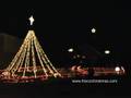 Chirstmas lights Wild