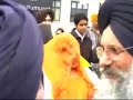 vaisakhi nagar kirtan (sikh in denmark)