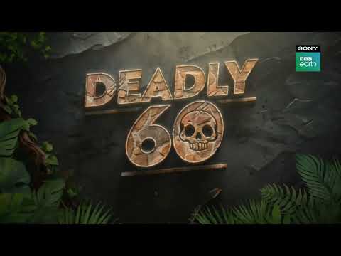 Deadly 60 BBC
