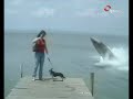 ATAQUE ANGUILA GIGANTE ATAQUE ANGUILA GIGANTE