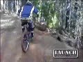 Dwellingup Mountain Biking