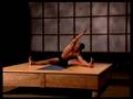 GAIAM Yoga Optimale Verbranding- Romp stretch