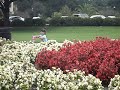 aiji-riding-scooter.html