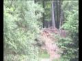 X-Treme Power Wheels Teamvideo 2003 - unsere Anfänge