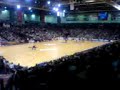 SG Flensburg Handewitt vs. Düsseldorf SG Flensburg Handewitt vs. Düsseldorf