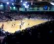 SG Flensburg Handewitt vs. Düsseldorf