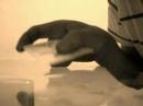 the longos show 2 -deja el paco-