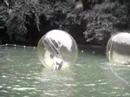 plastic ball plastic ball