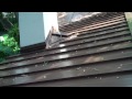 Completed New Brown Metal Roof 1- Coconut Grove- Istueta Roofing