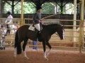 NLF ON THE CATWALK APHA/JC/AQHA-T
