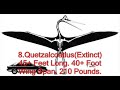 16 Real Giant Monsters