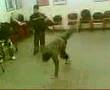 Marxloh    Mahmoud Breakdance