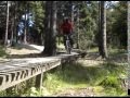 Mr.T. @ Willingen & Winterberg