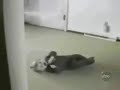 sdfsdf sdfsdf