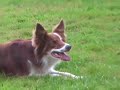 Pawsitive Vybe Eurotour: Sabine and Marcus Jam