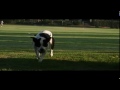 OB Doggie - MAILEY