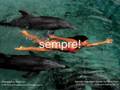 Video sull'amicizia