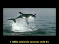 Reflexiones Hopi 2