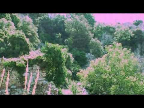 Αράπηδες 2009