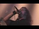 Aborted-The-Auricula