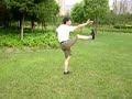 Wu Taiji Fast Form Shen Tiegen Wu Taiji Fast Form Shen Tiegen