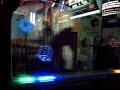 Acrilicos Iluminados(Tel:15-53391421)