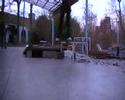 Norre bs tail bigspin out