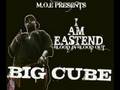 FREESTYLE BIG CUBE YA HEARED ME?