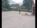 videos de impennata vespa 300 pisa