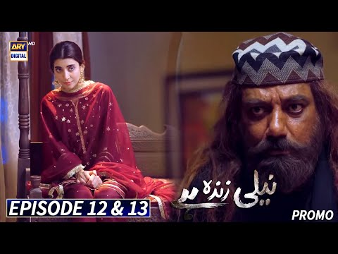 Neeli Zinda Hai Episode 12 & 13 - Promo - ARY Digital Drama