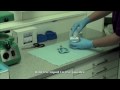 Making a gypsum model with Instant Stone