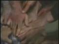 Assistir ao v�deo