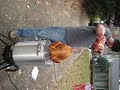 Lifting Turkey out of Deep Fryer