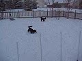 It Snowed!