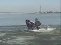waterdawg 1200 practice