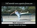 capoeira tutorials  sequence 1