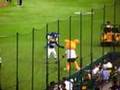 07.08.23 ドアラ 東京ドームでデジャブ