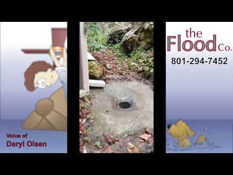 Yard Sloping Toward House Solutions - 08/2021