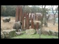 Ouwehands Dierenpark part 2 VOB